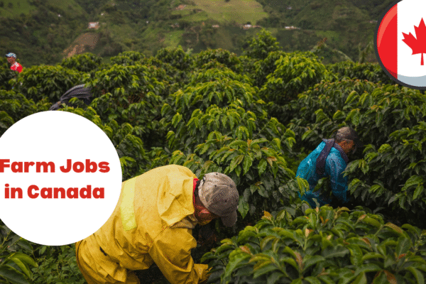 Farm Jobs in Canada